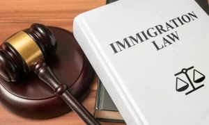 وکیل مهاجرت و ویژگی های آن